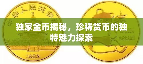 独家金币揭秘，珍稀货币的独特魅力探索
