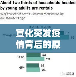 宣化突发疫情背后的原因深度解析