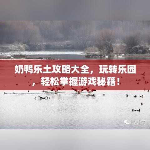 东张西望