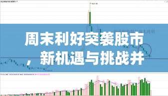 管窥蛙见