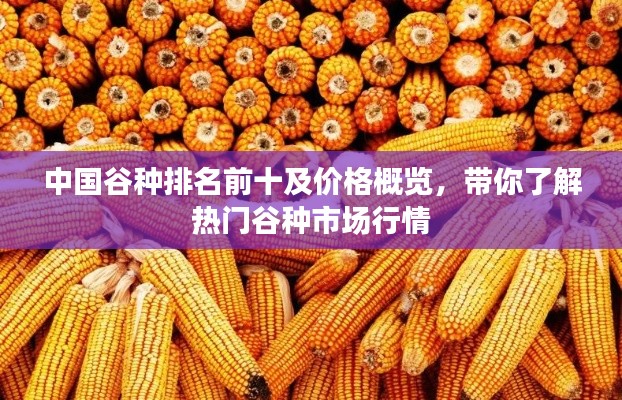 中国谷种排名前十及价格概览，带你了解热门谷种市场行情