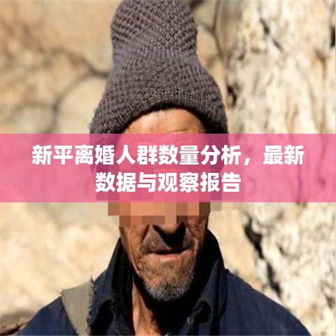 新平离婚人群数量分析，最新数据与观察报告