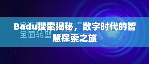 Badu搜索揭秘，数字时代的智慧探索之旅