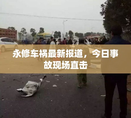 飞燕化龙