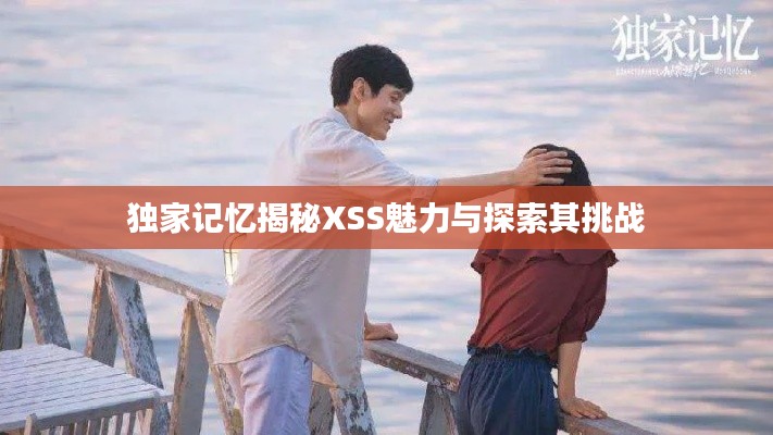 独家记忆揭秘XSS魅力与探索其挑战