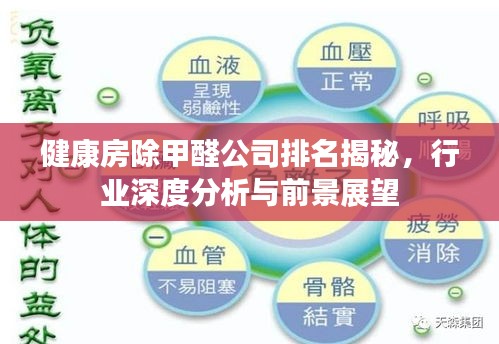 健康房除甲醛公司排名揭秘，行业深度分析与前景展望