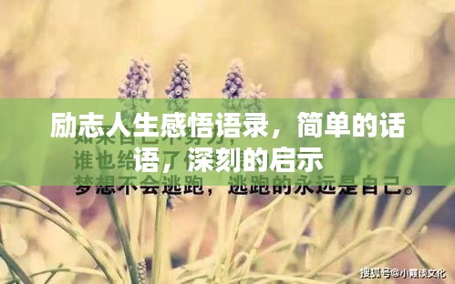 励志人生感悟语录，简单的话语，深刻的启示