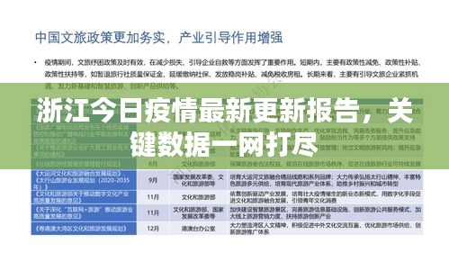 浙江今日疫情最新更新报告，关键数据一网打尽