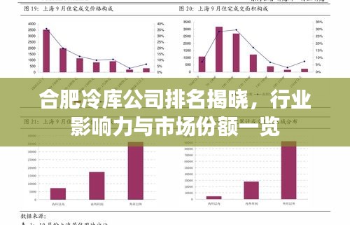 合肥冷库公司排名揭晓，行业影响力与市场份额一览
