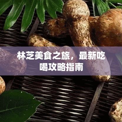 车主社区 第5页