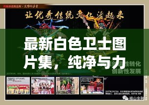 最新白色卫士图片集，纯净与力量的视觉盛宴