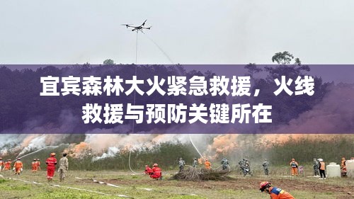 宜宾森林大火紧急救援，火线救援与预防关键所在