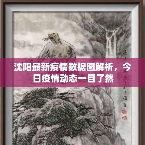 沈阳最新疫情数据图解析，今日疫情动态一目了然