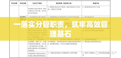 一落实分管职责，筑牢高效管理基石