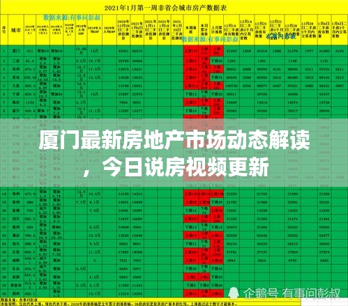 厦门最新房地产市场动态解读，今日说房视频更新