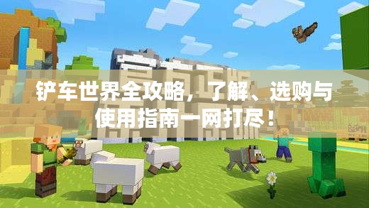 铲车世界全攻略，了解、选购与使用指南一网打尽！