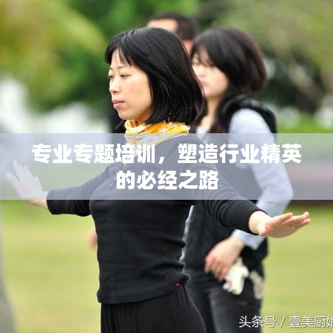专业专题培训，塑造行业精英的必经之路