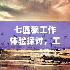 七匹狼工作体验探讨，工作环境、待遇及发展解析