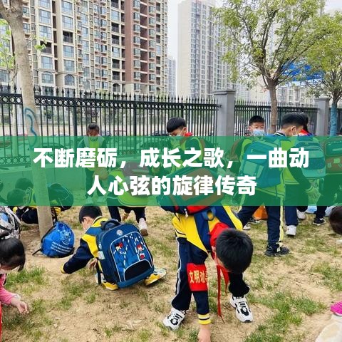 不断磨砺，成长之歌，一曲动人心弦的旋律传奇