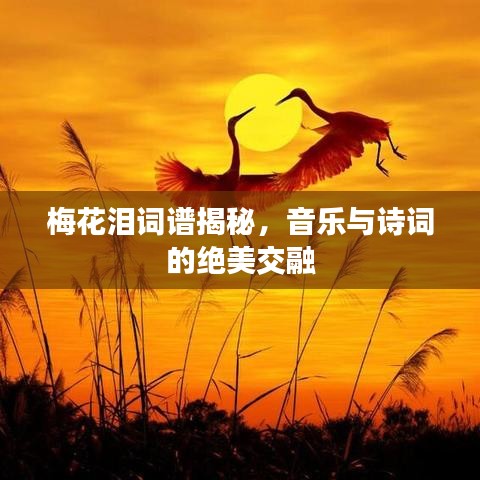 梅花泪词谱揭秘，音乐与诗词的绝美交融