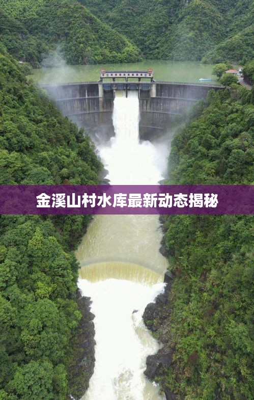 2025年6月5日 第3页