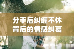 2025年6月8日