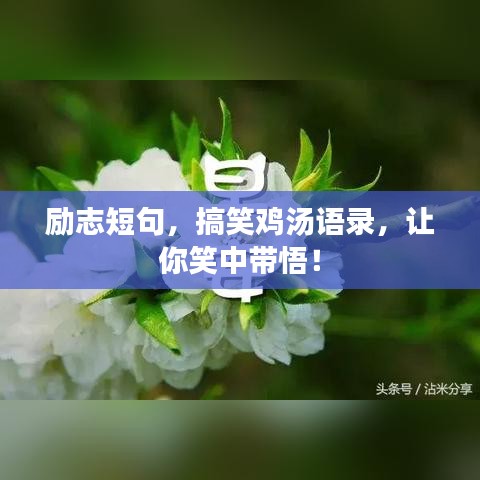 励志短句，搞笑鸡汤语录，让你笑中带悟！