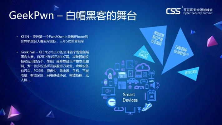 网络安全顾问深度解析,森林舞会单机版与巨商官方下载软件 v6.294 的可靠性策略