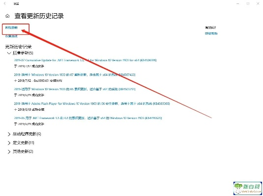 天赐派官方下载及win10激活码领取过程中遇到视频导出问题故障排查指南