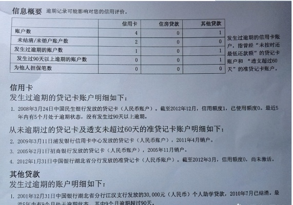 人行征信中心官方下载及福昕mac激活码,全面分析说明 微型版_v5.162