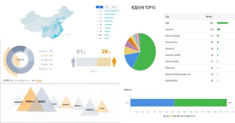 网络安全顾问关于安全软件QQ情侣最新版本，数据解析导向计划_FHD_v10.303的深入分析