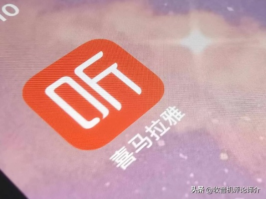 红枣FM官方下载软件横向评测,三款最佳安全设计解析