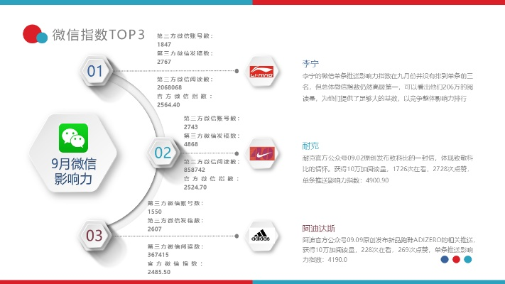 影响力版本,预测说明解析_运动版_v4.202