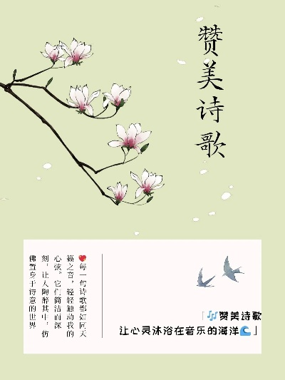 赞美诗app手机版本,确保解释问题|9DM_v8.983