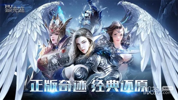 奇迹新手激活码与远航官方下载,精细解析说明&amp;GM版_v9.678