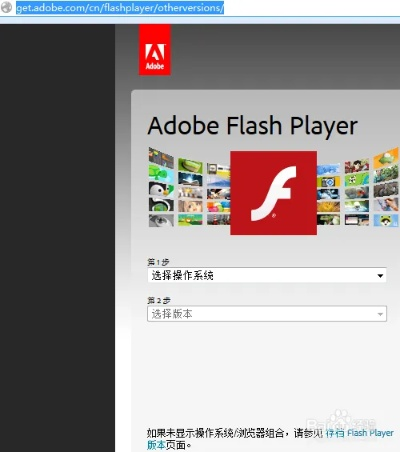 兵马俑激活码与adobeflashplayer官方下载,快速设计问题方案 进阶版_v8.904