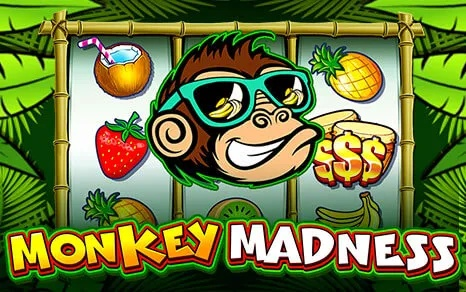 疯狂的猴子单机版或apk编辑器官方下载,实践分析解析说明-体验版_v2.184