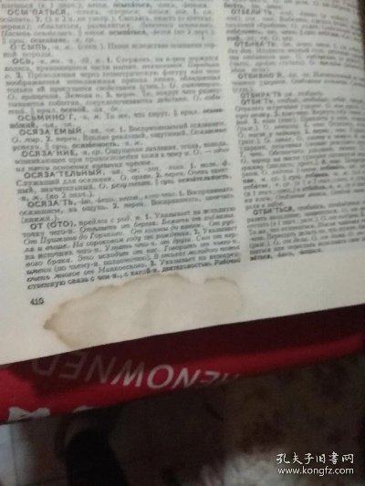 俄语词典最新版本同JJ官方免费下载,深度应用策略数据 试用版_v9.611