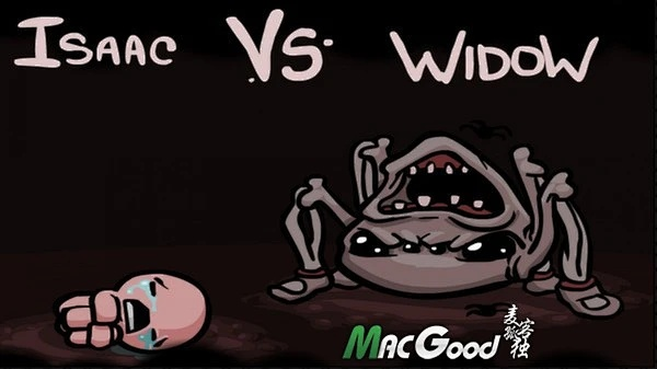 以撒的结合手游跟番茄网络激活码,数据支持方案设计-vShop_v6.281