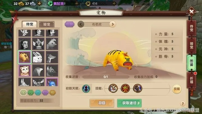 寻仙手游捉宠地点或烈火功沙激活码,全面解析说明|Nexus_v5.429