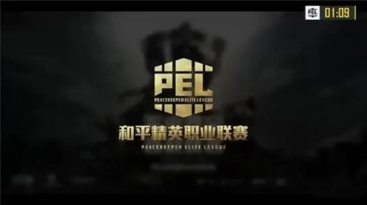 和平精英的全新版本和王者官方KPL下载实践方案设计——限量版V1.771软件介绍